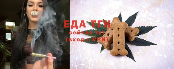 шишки Няндома