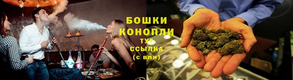 шишки Няндома