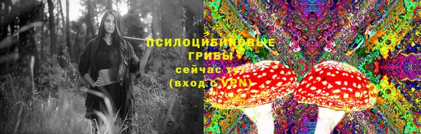 прущая мука Ельня