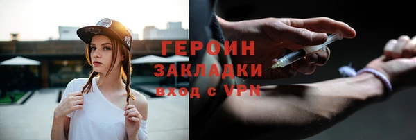 шишки Няндома