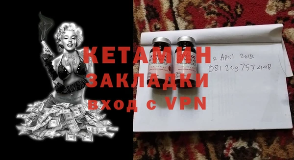 шишки Няндома