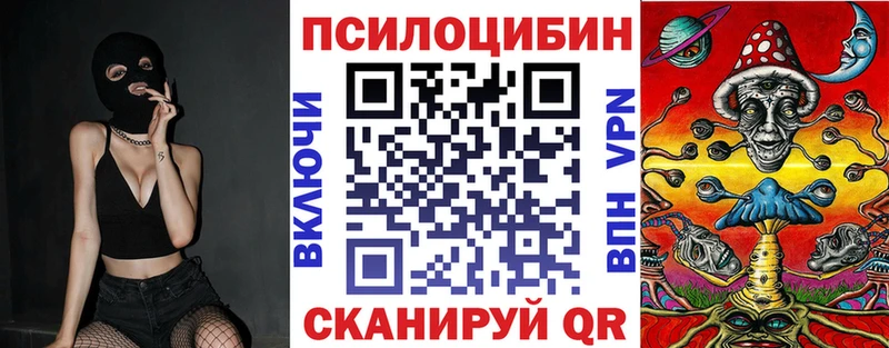 купить наркотик  Бакал  Псилоцибиновые грибы прущие грибы 